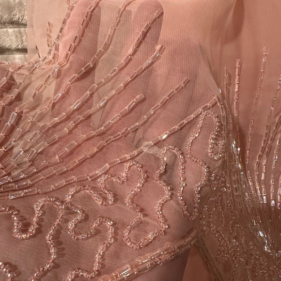 Vintage Blush Pink hand Beaded Chiffon Dress with a sheer overlay - Picture 4 of 6